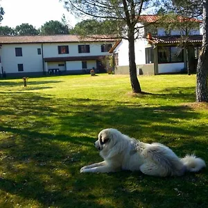 Artenatura Beb Terranuova Bracciolini