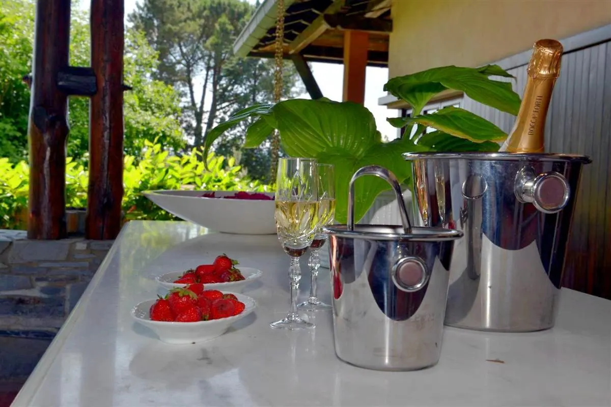 Villa Ines The Elegance Of The Tuscan Countryside Terranuova Bracciolini